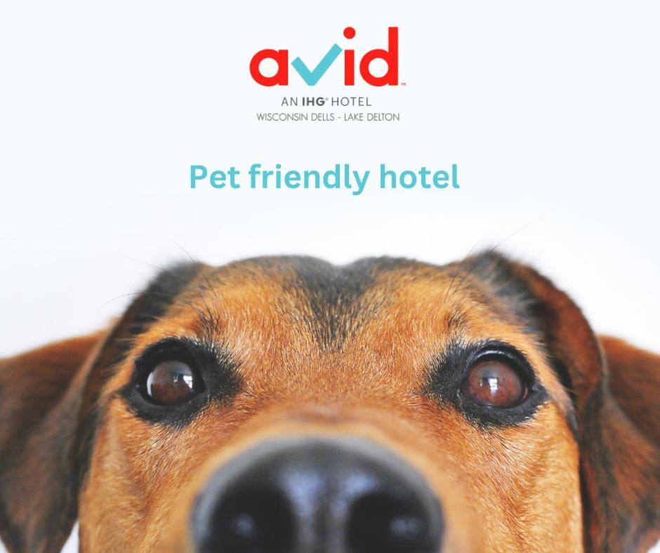 Avid Hotel Wisconsin Dells Lake Delton By Ihg Exteriér fotografie